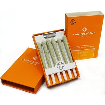 Canndescent Create 310 .5g Pre-roll 6 Pack Canndescent Create 310 .5g Pre-roll 6 Pack