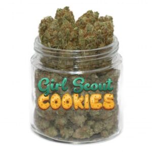 Girl Scout Cookies Strain