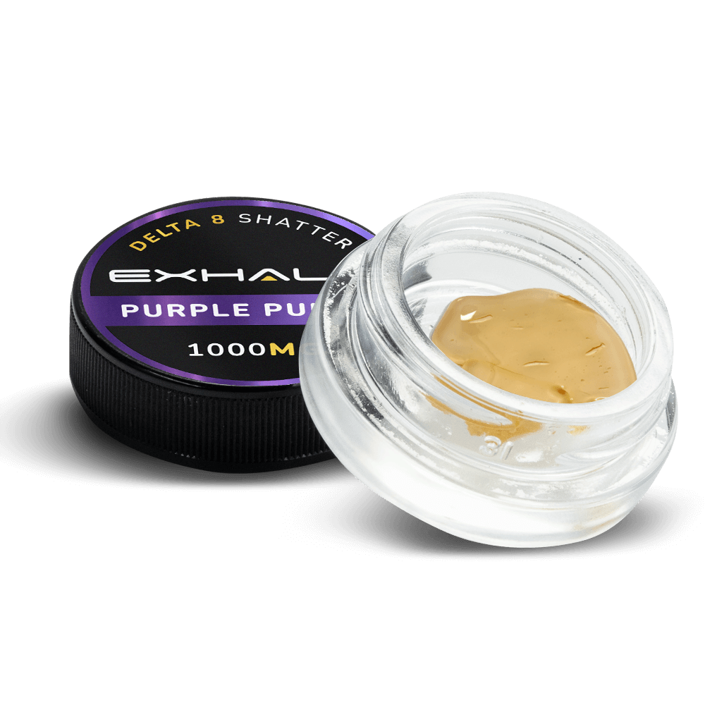 SHATTER – PURPLE PUNCH SHATTER – PURPLE PUNCH