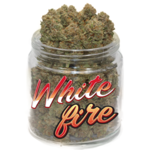 White Fire OG Strain