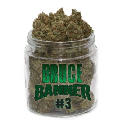 bruce banner#3 bruce banner#3
