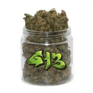 g13