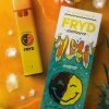 Fryd Cactus Cooler