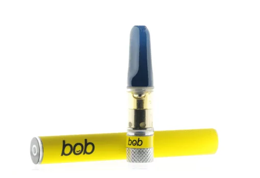 Bob-Cart-with-Battery-7-510x350-1.webp