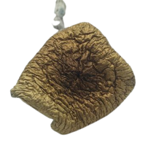 Mexican Dutch King Magic Mushroom (MDK)